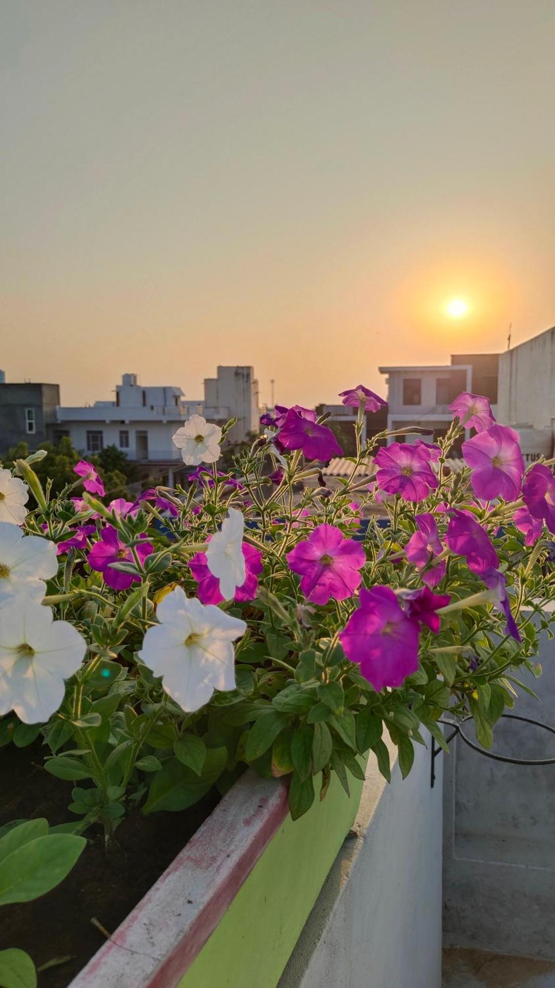Iora Guest House Bharatpur Dış mekan fotoğraf